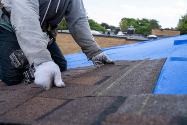 Best Affordable Roofing Company  in Mccom, OH