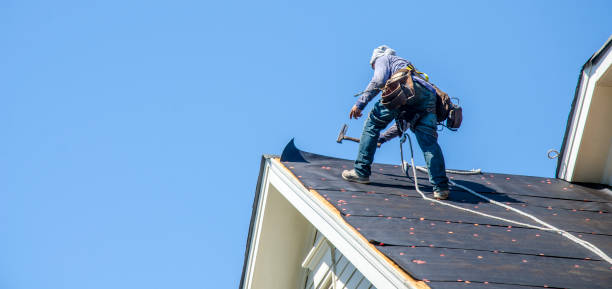 Best Roof Gutter Cleaning  in Mccom, OH